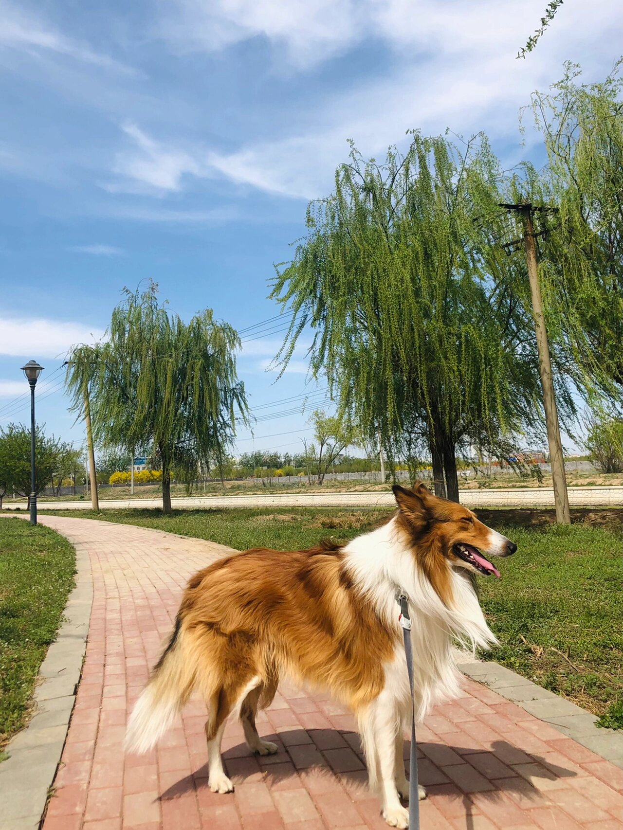 苏牧 愿我的小可爱永远都有好心情
