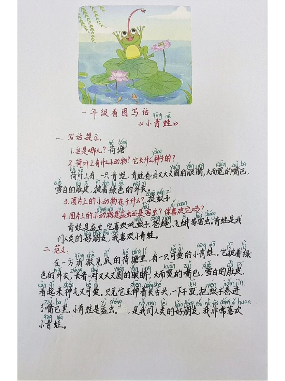 看图写话《小青蛙》:由整体到局部,描写小动物(含范文)