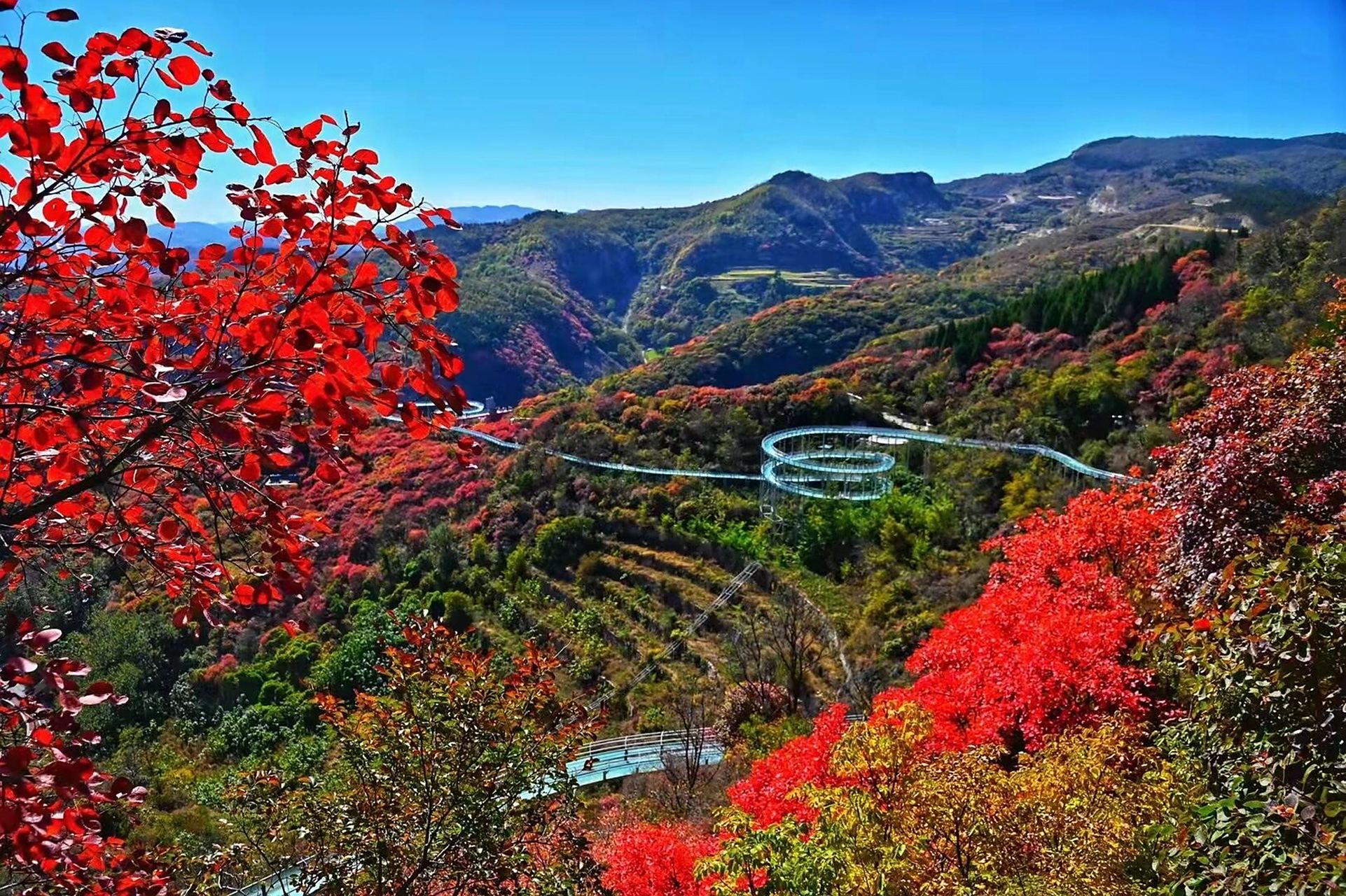 淄博最适合徒步的景区红叶柿岩 现在是最佳观赏时间,漂流也很快乐