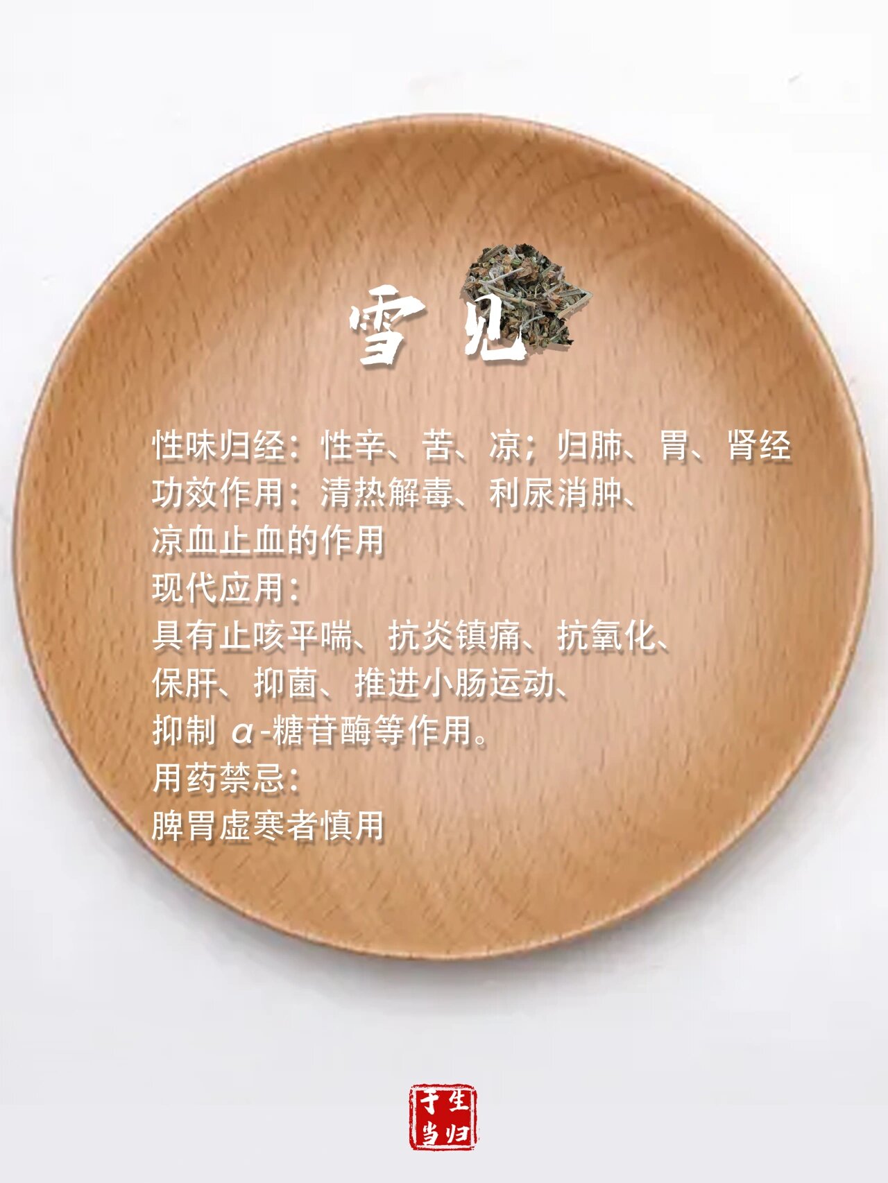 每天认识一味中药|雪见 全民学中药:雪见 雪见,别名 雪见草,癞蛤蟆草