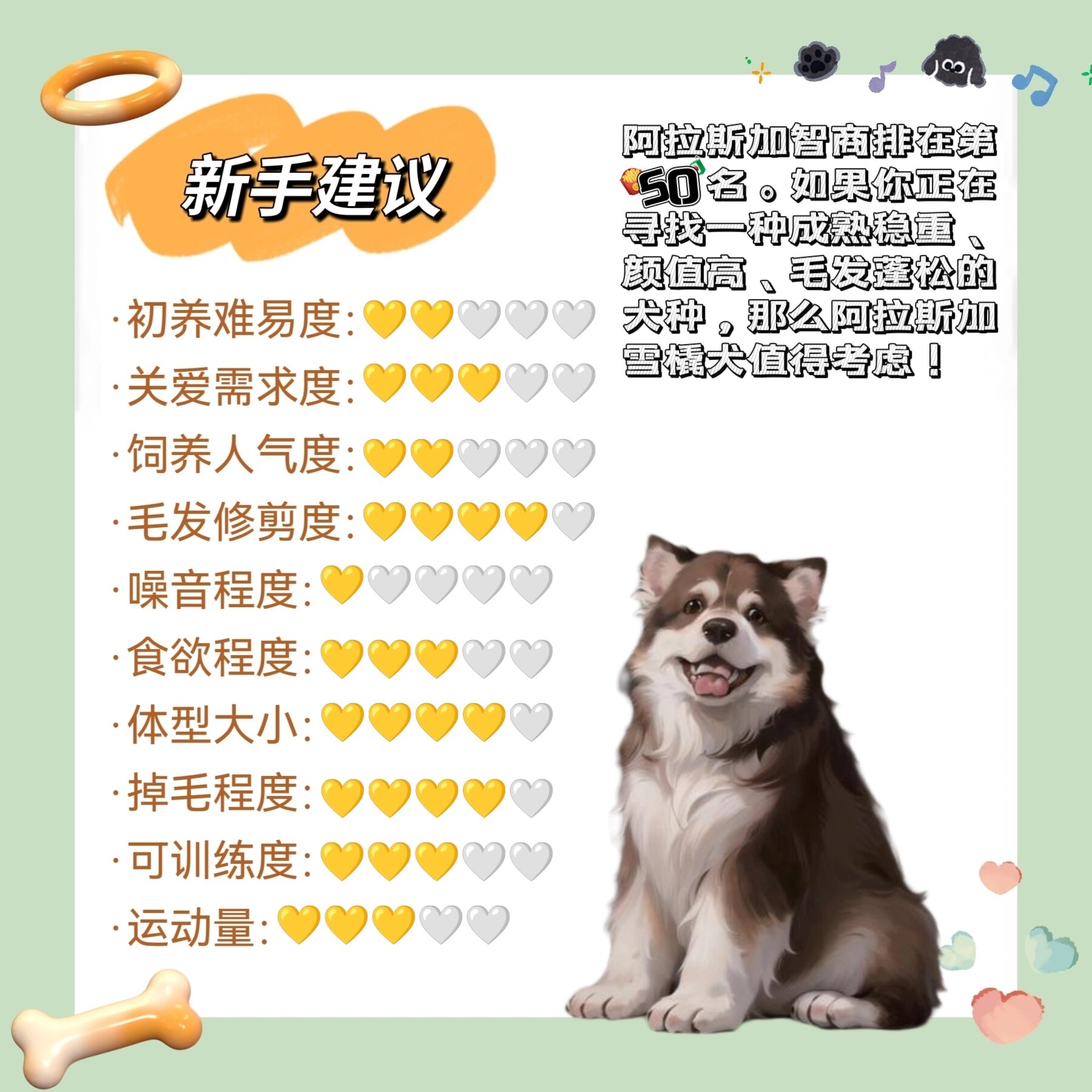 阿拉斯加犬智商图片