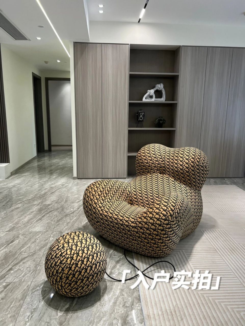 99造型独特的"妈妈的怀抱"沙发,个性时尚,家具界的明星 99采用无