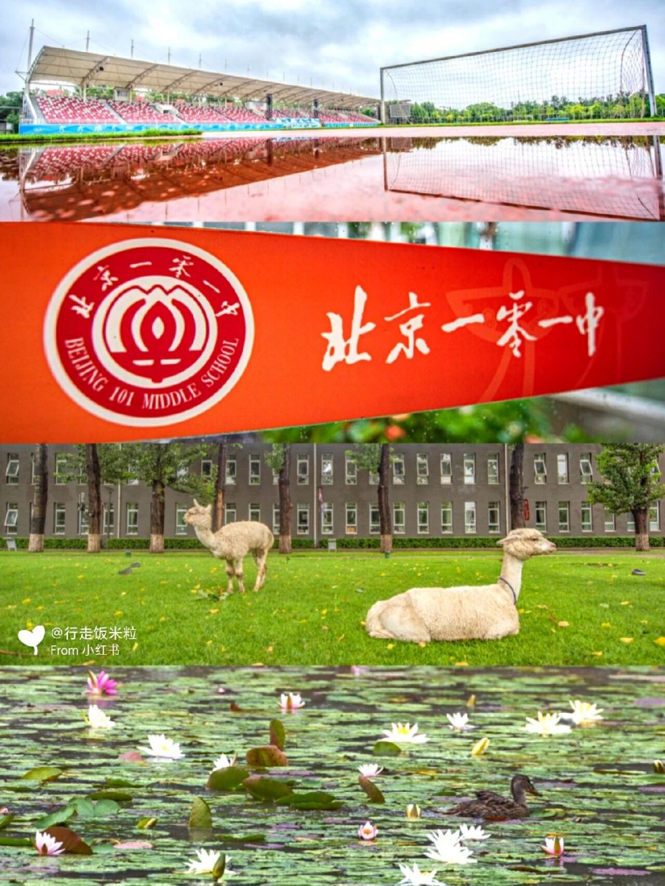 北京一零一中学①93圆明园里的雨季9715 《打起手鼓唱起歌》