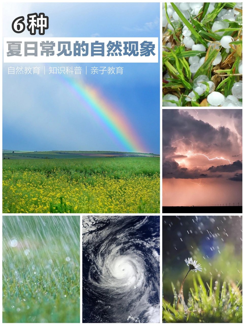 四季变化,气候冷暖,白天黑夜 大自然的现象神秘又丰富～ 那么在夏天