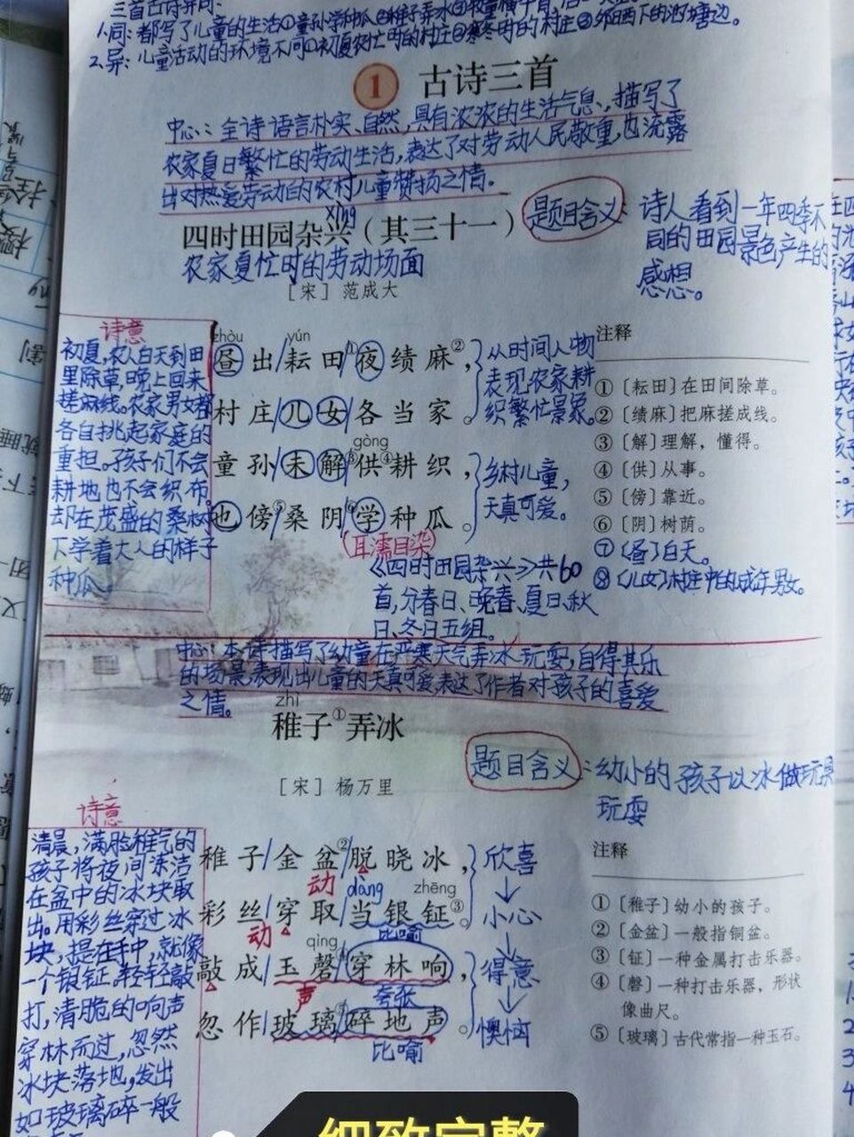 部编版五下语文第一课课堂笔记 部编版五年级下册语文第一课精选了三