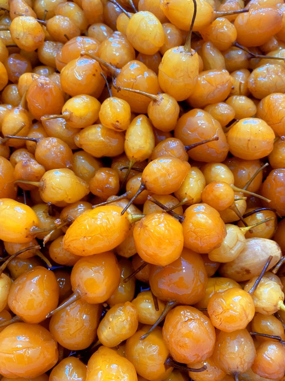 给大家分享五彩泡椒的做法,送粥神器 五彩泡椒(又名七彩椒,灯笼椒)