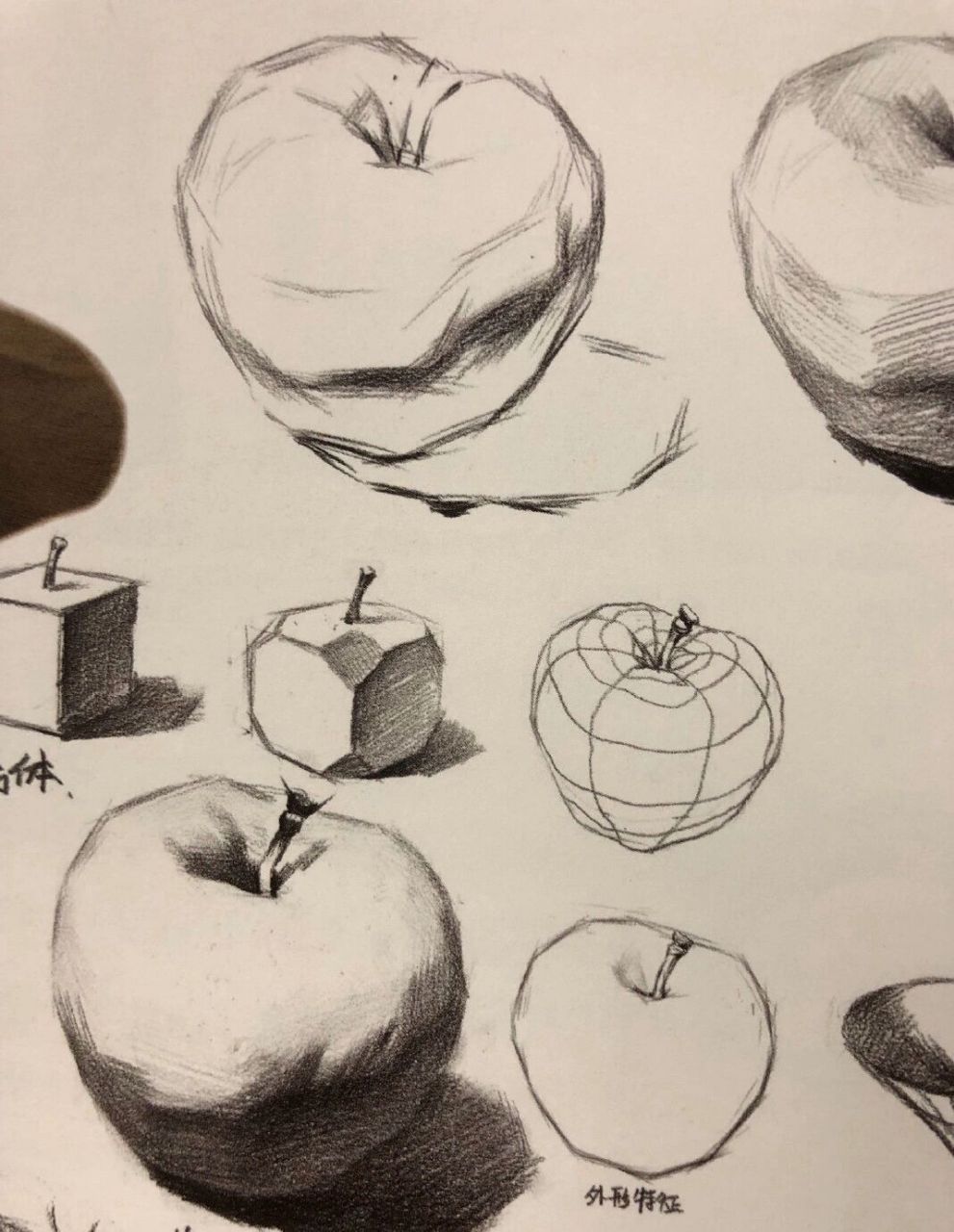 素描苹果怎么画 步骤图片