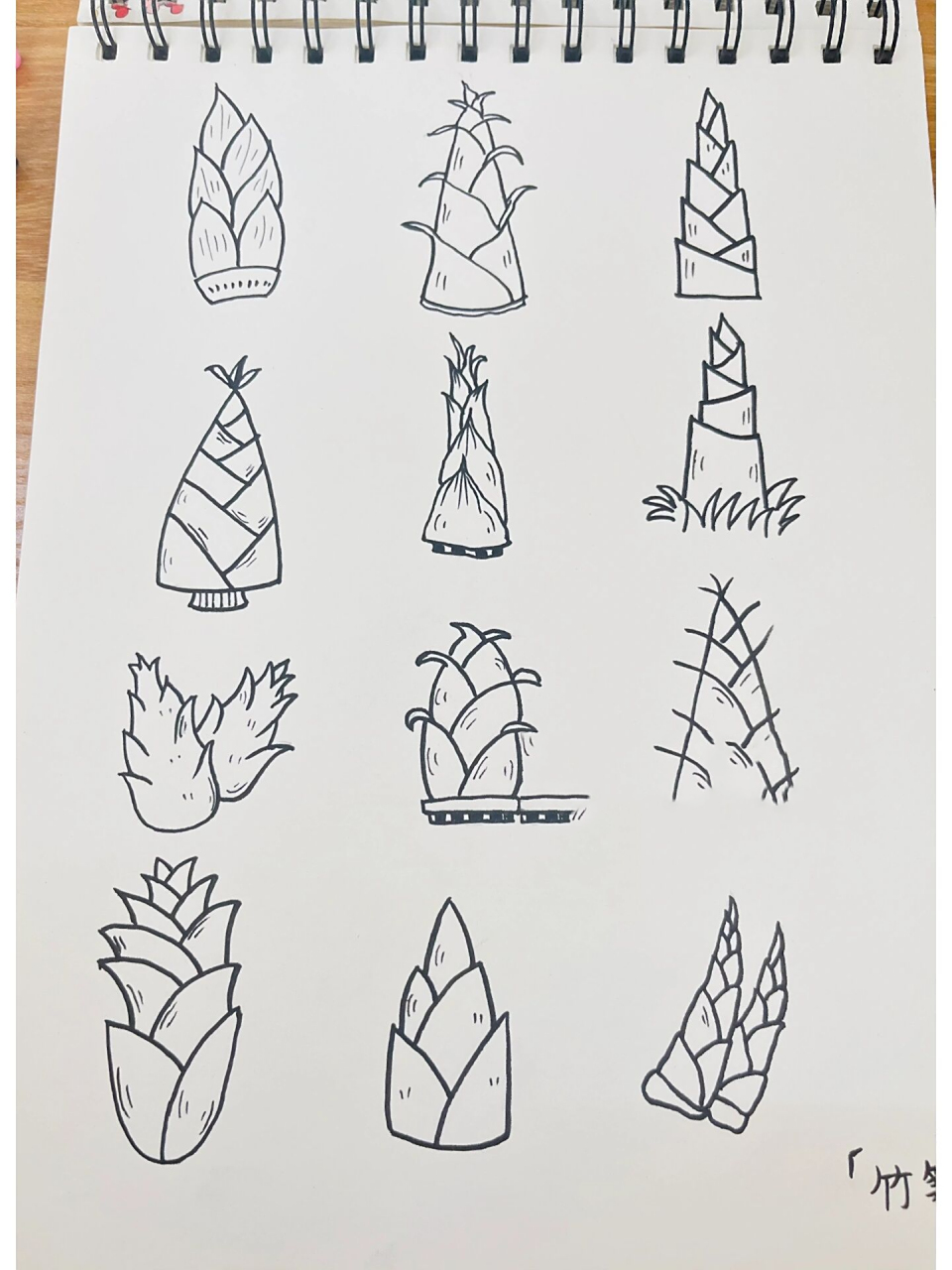 简笔画「竹笋」