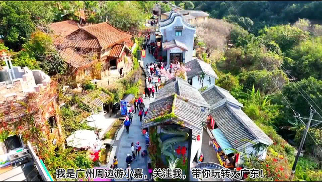 云浮天露山的杜鹃花已经盛开,详细攻略来了|打卡新兴天露山旅游度假区