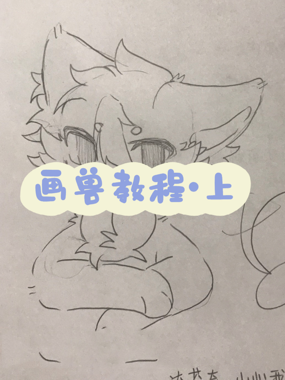 保姆级画兽教程!