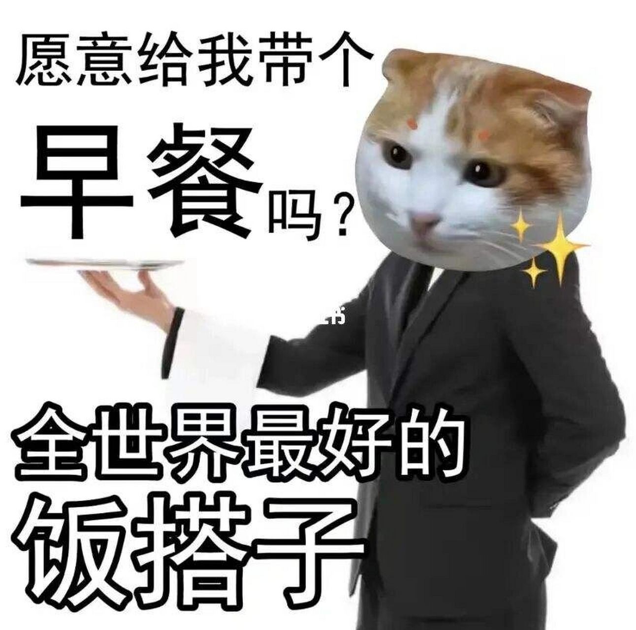 饭搭子表情包 愿意和我共进午餐吗!最好的饭搭子7815