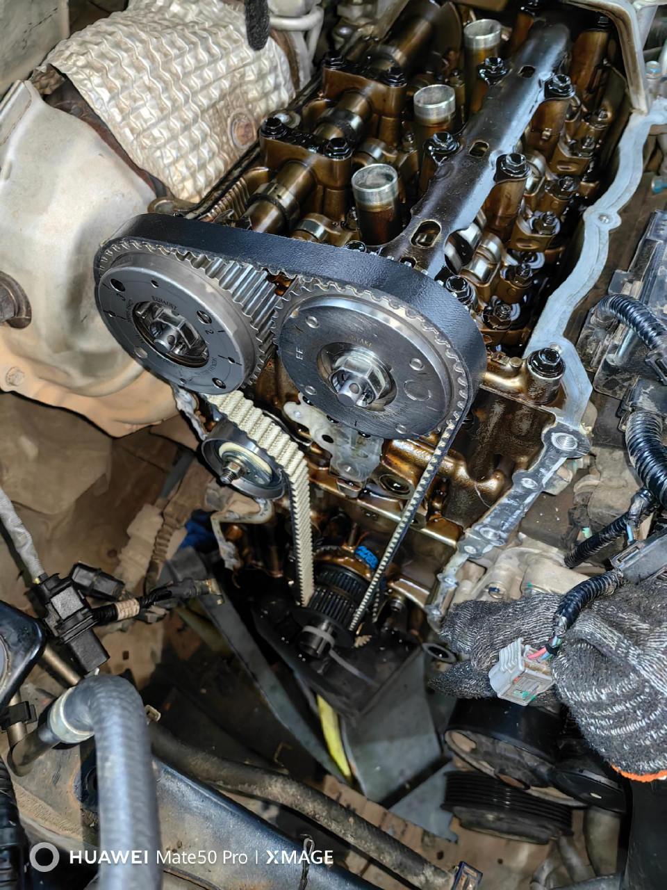 只要搭载本田1.