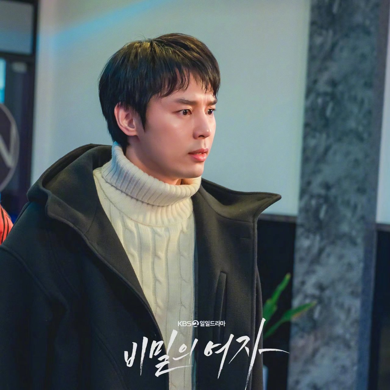 kbs 2tv新日日剧《秘密的女人》(导演申昌锡,编剧李正大)李宣镐