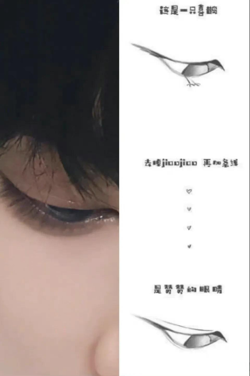 这是我第n次看到说肖战的眼睛像喜鹊的. 真的是很令人喜悦的相似.