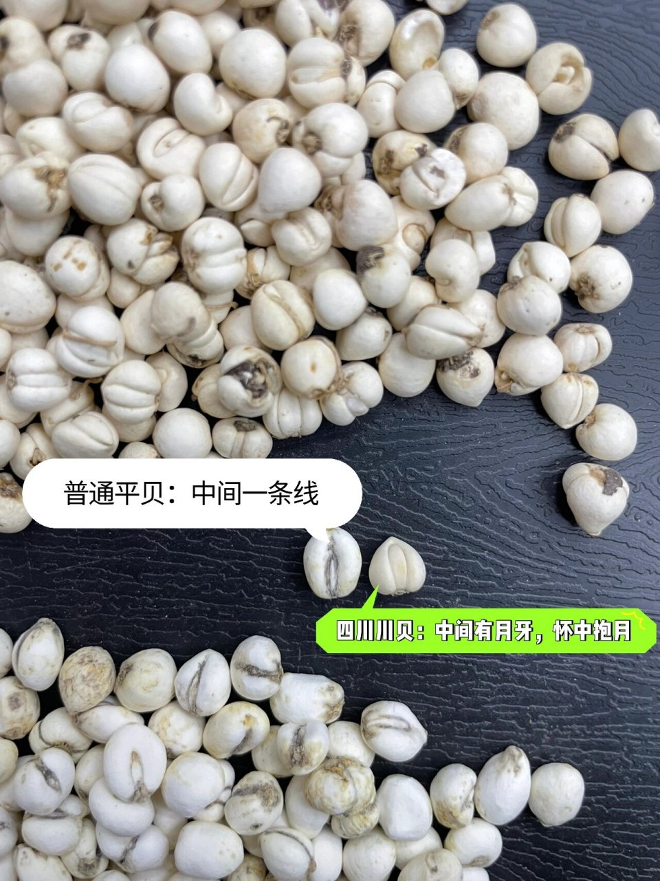 下面大概分辨一下 7815川贝母:产于四川,称为川贝,由于不能种植的