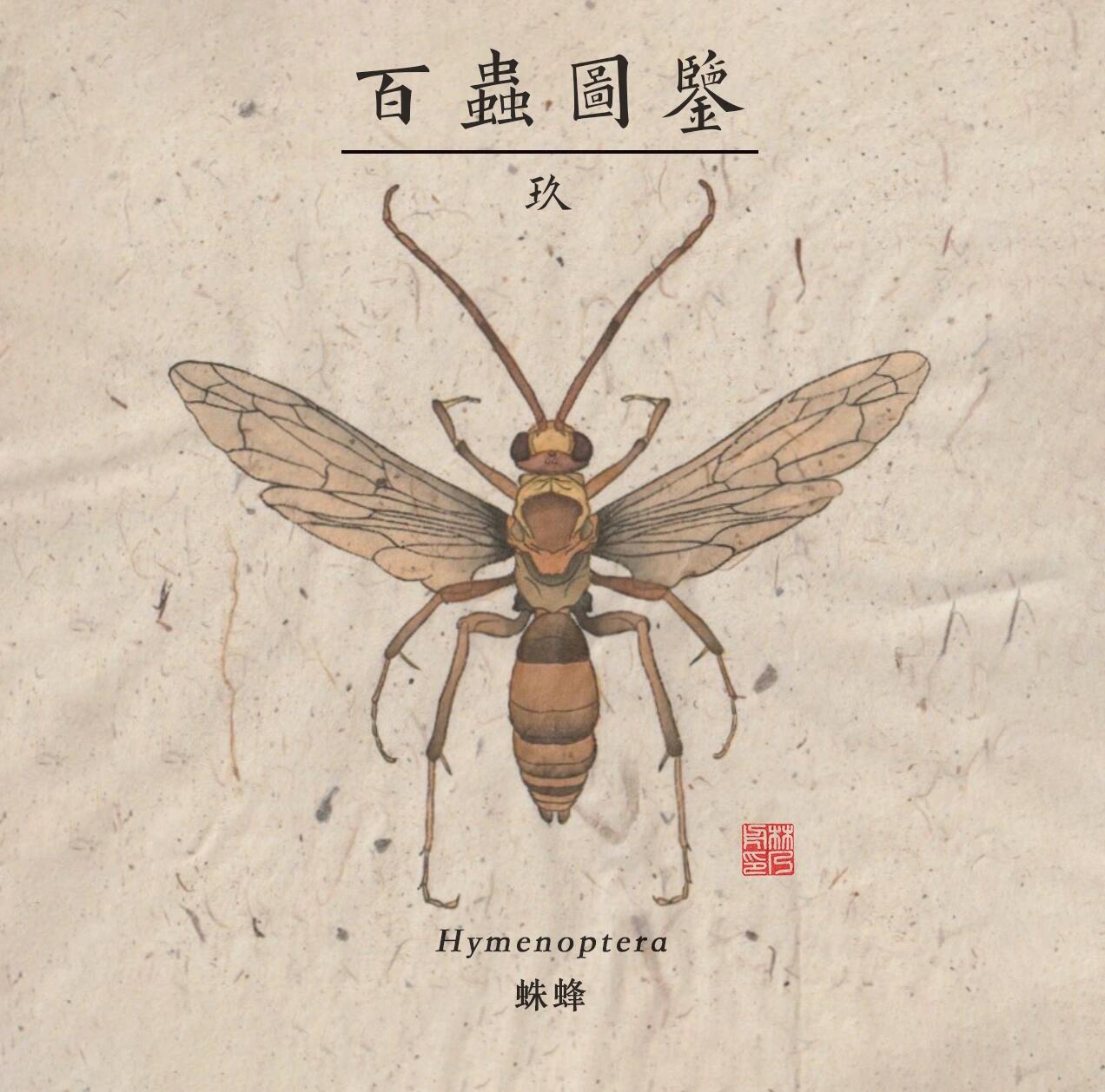 百虫图鉴|蛛蜂93 9515 蛛蜂科(pompilidae或psammocharidae)