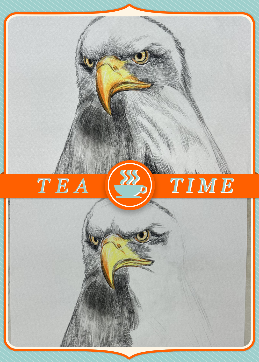 众所周知,白头海雕是美国的国鸟,非常的美丽.