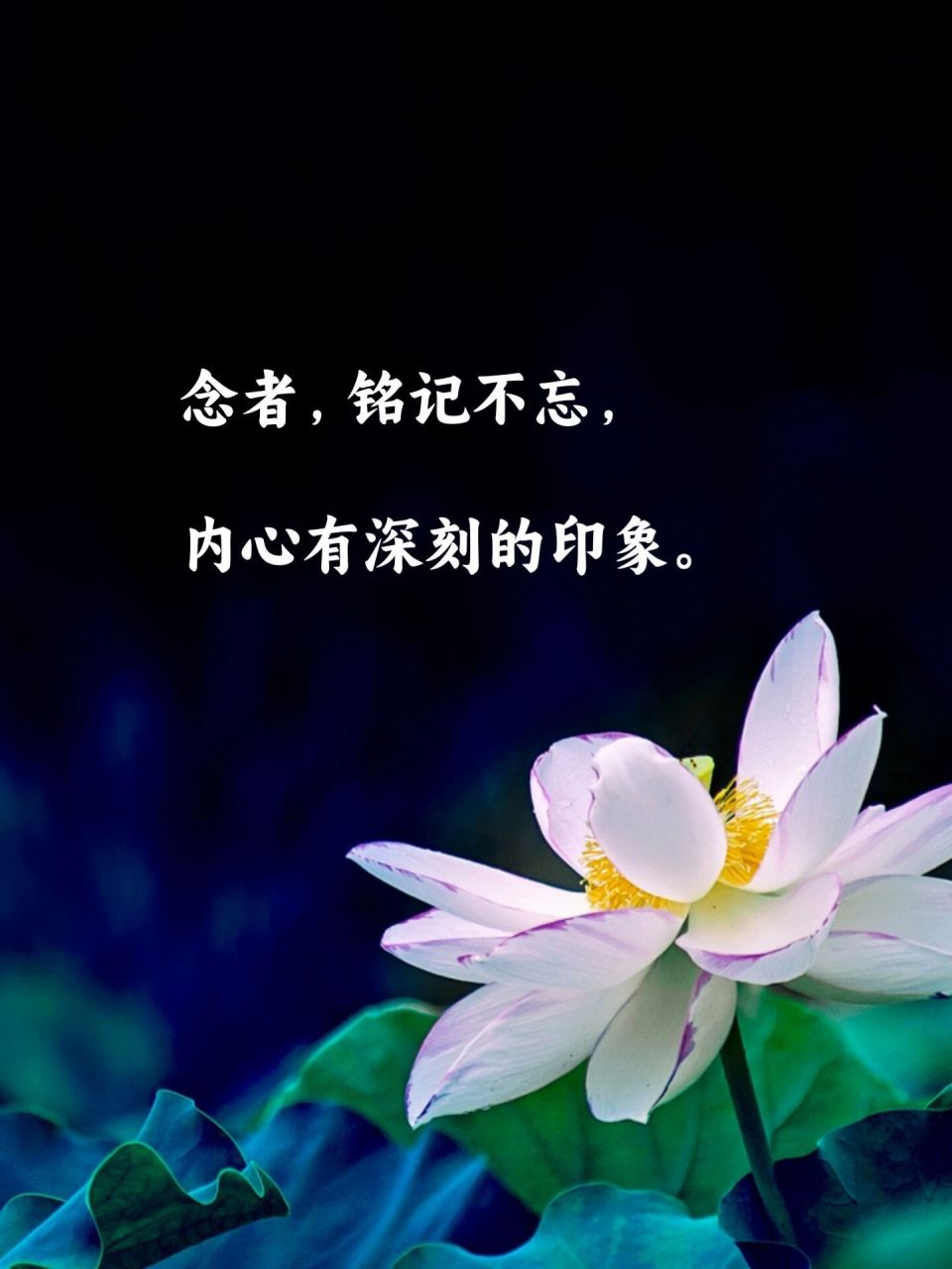 怎么提高正念? #禅悟人生