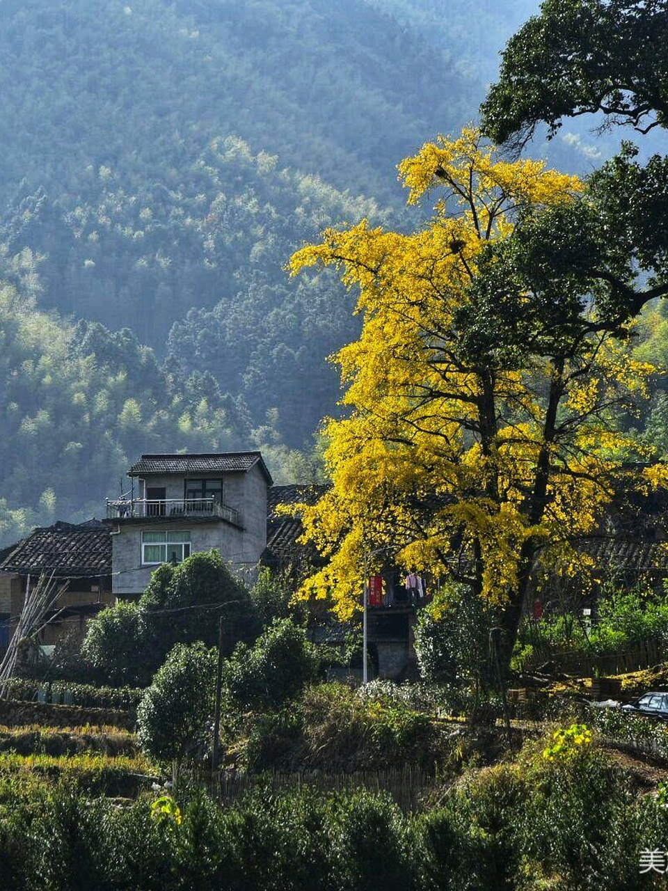 周末游 | 闽北美丽乡村——建瓯市小松镇湖头 湖头村位于建瓯市小松镇