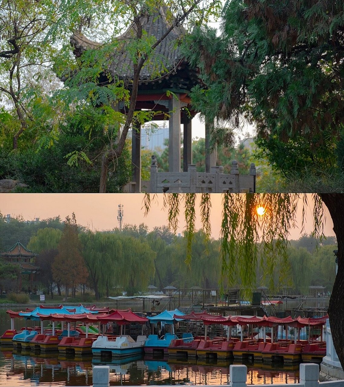 安阳洹园的秋日游记7415 我是安阳东部居民 所以对彰德路以西不是