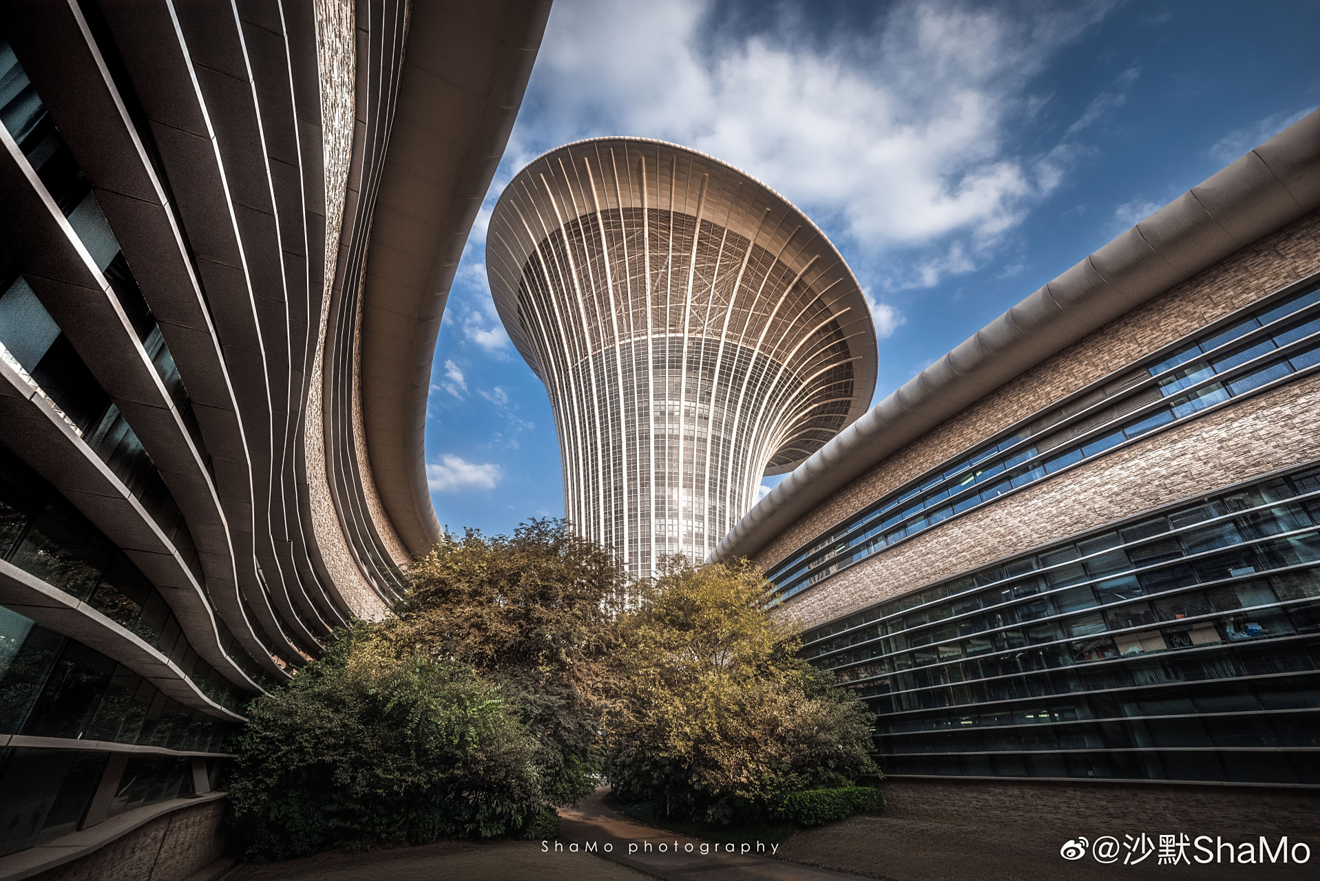 武汉特色建筑之一——马蹄莲|武汉未来科技城 你印象深刻的武汉特色
