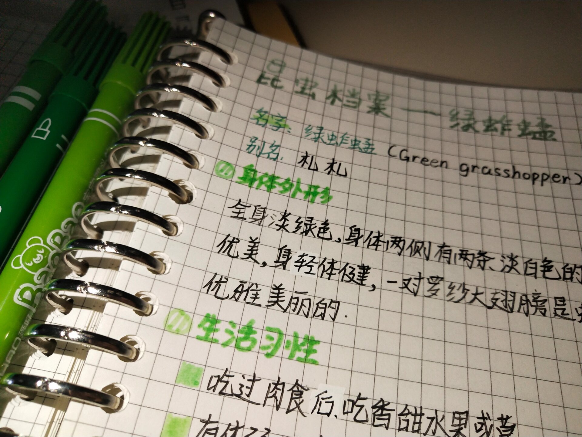 昆虫记档案一一绿蚂蚱