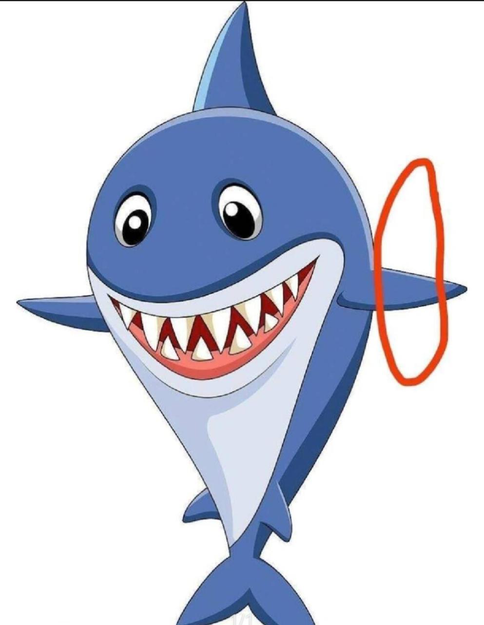 教大家文明口吐芬芳 鲨鱼的臂膀 可存表情包 这是什么?