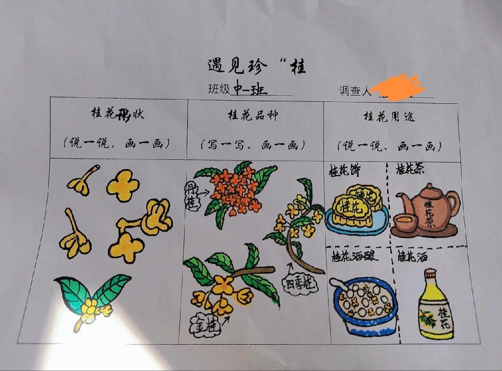 幼儿园树调查表图片