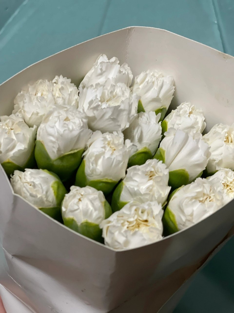 鲜切花|白色康乃馨平价小仙仙,爆开不输玫瑰 网上买到的不知道品种的