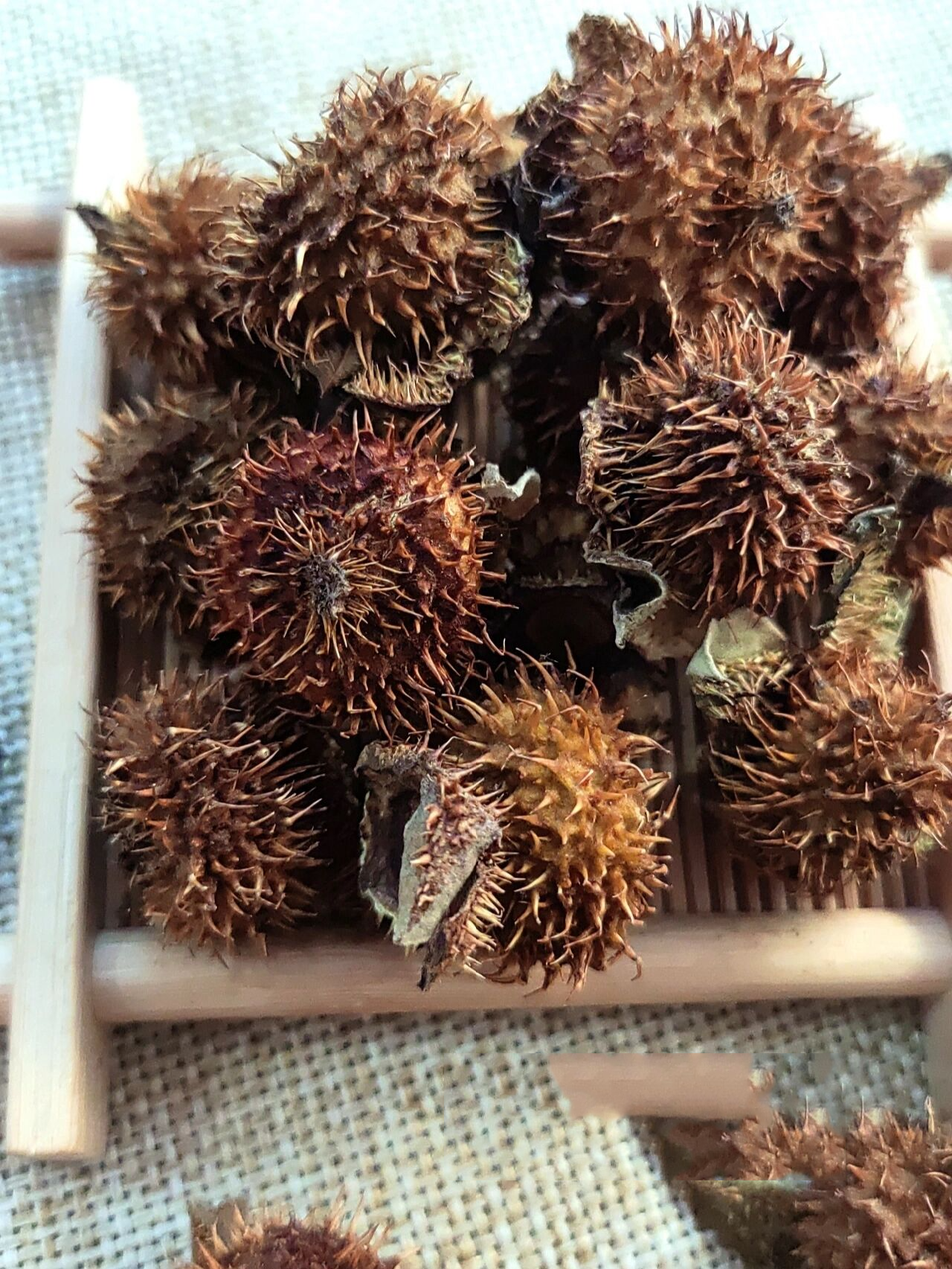 刺梨干功效
