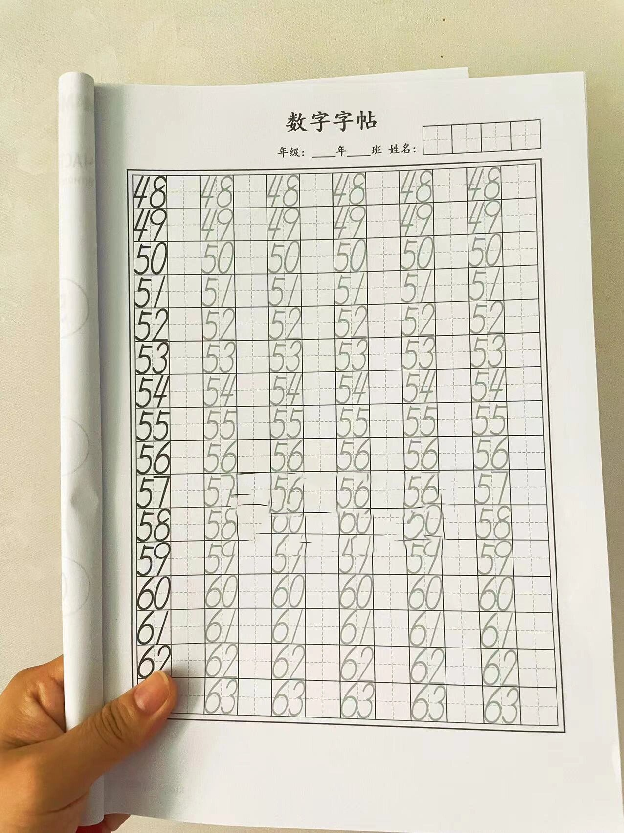 100在田字格里正确写法图片