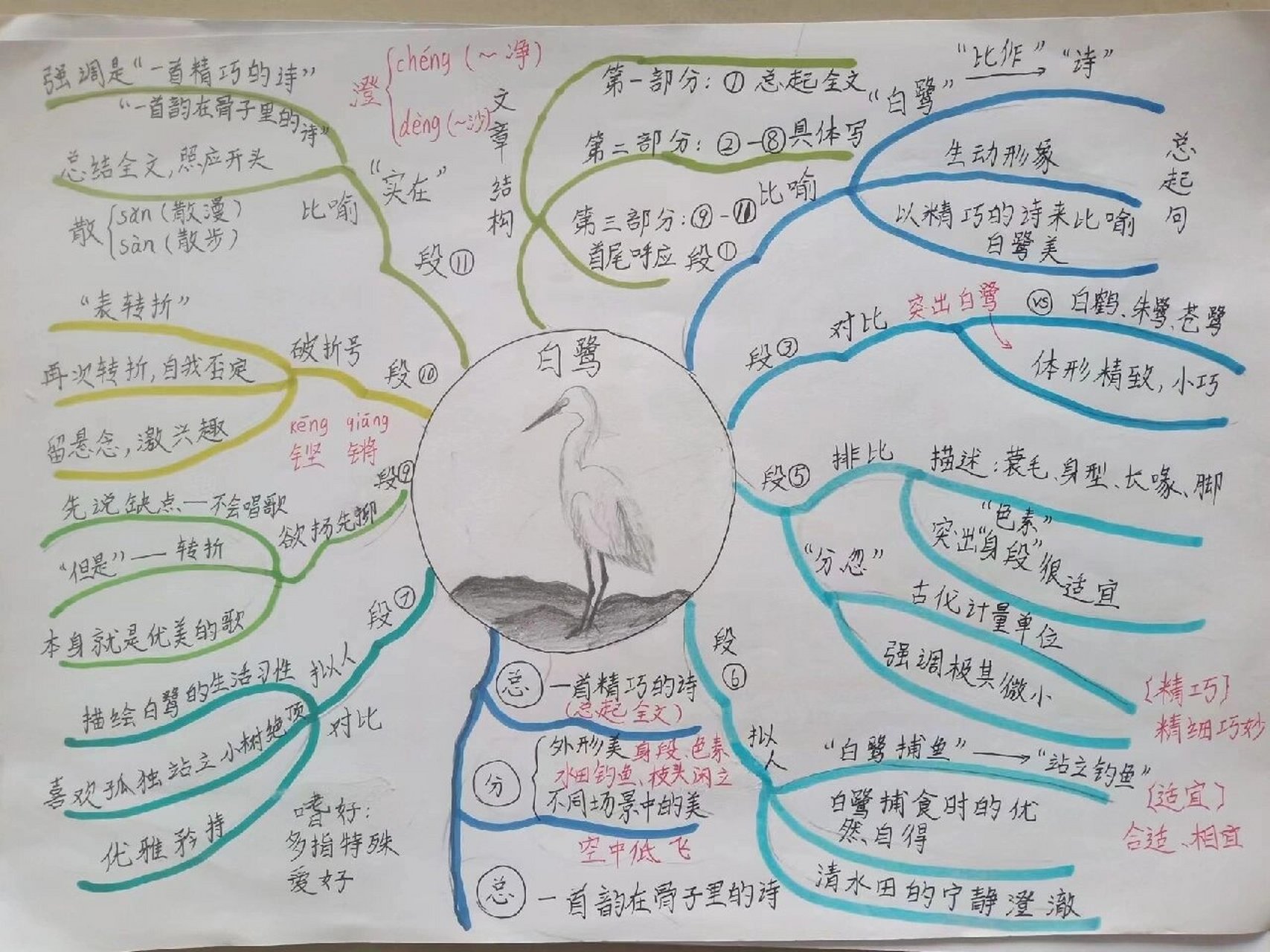 白鹭的思维导图怎么画图片