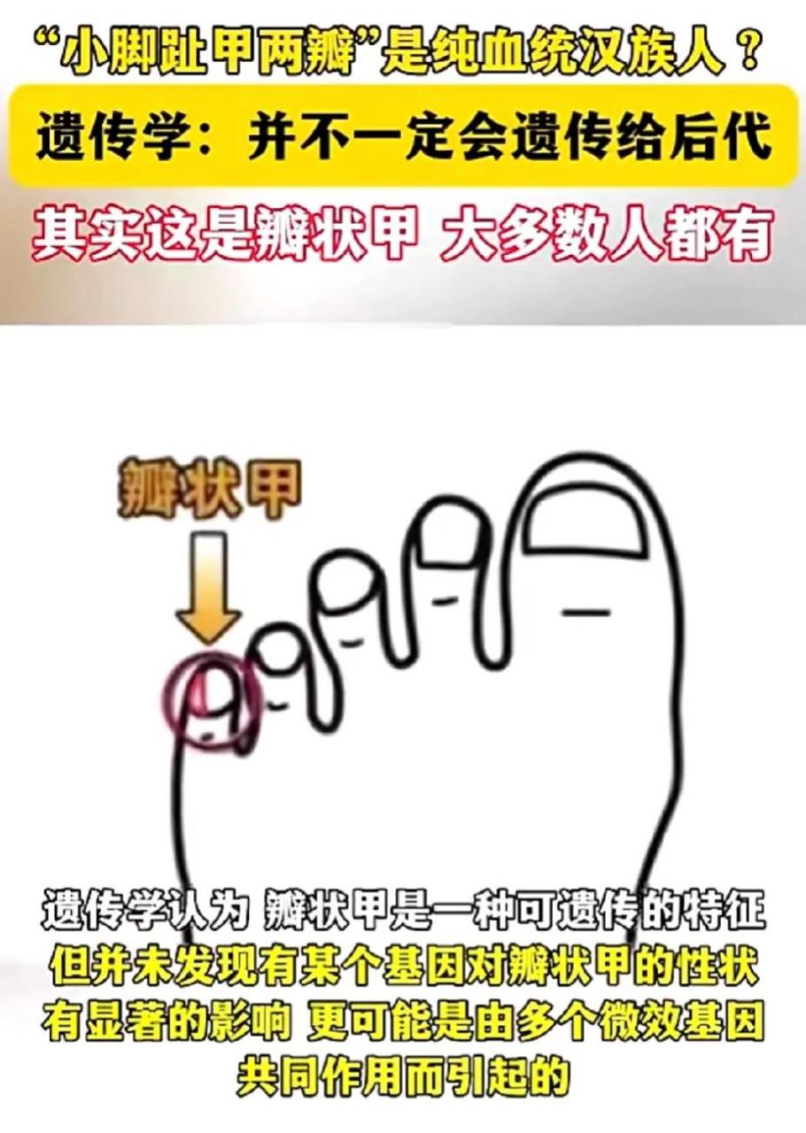 其实瓣状甲在国内外不同肤色种族的人群中都有大量存在,它是多个微效
