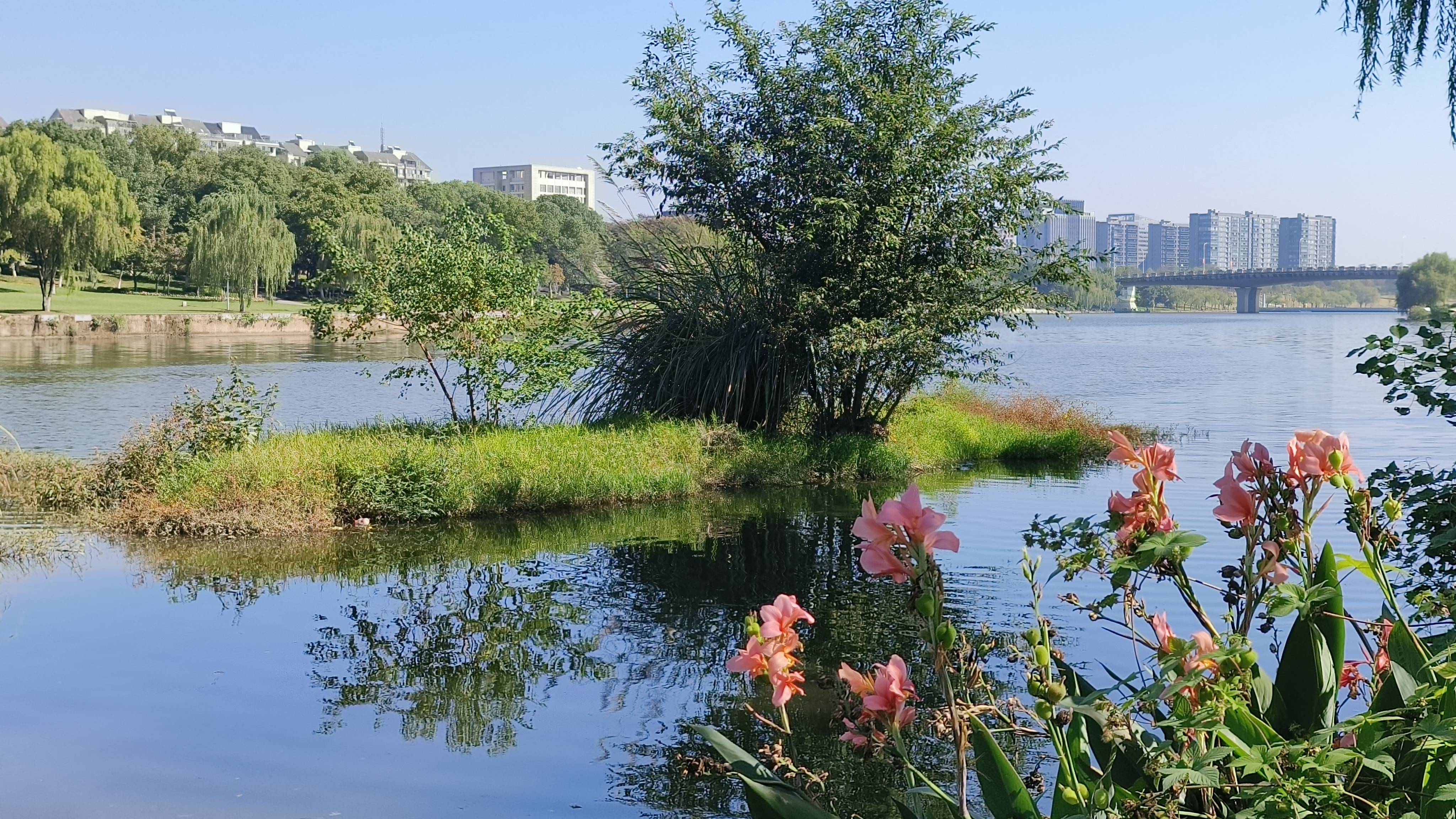 河边的风景