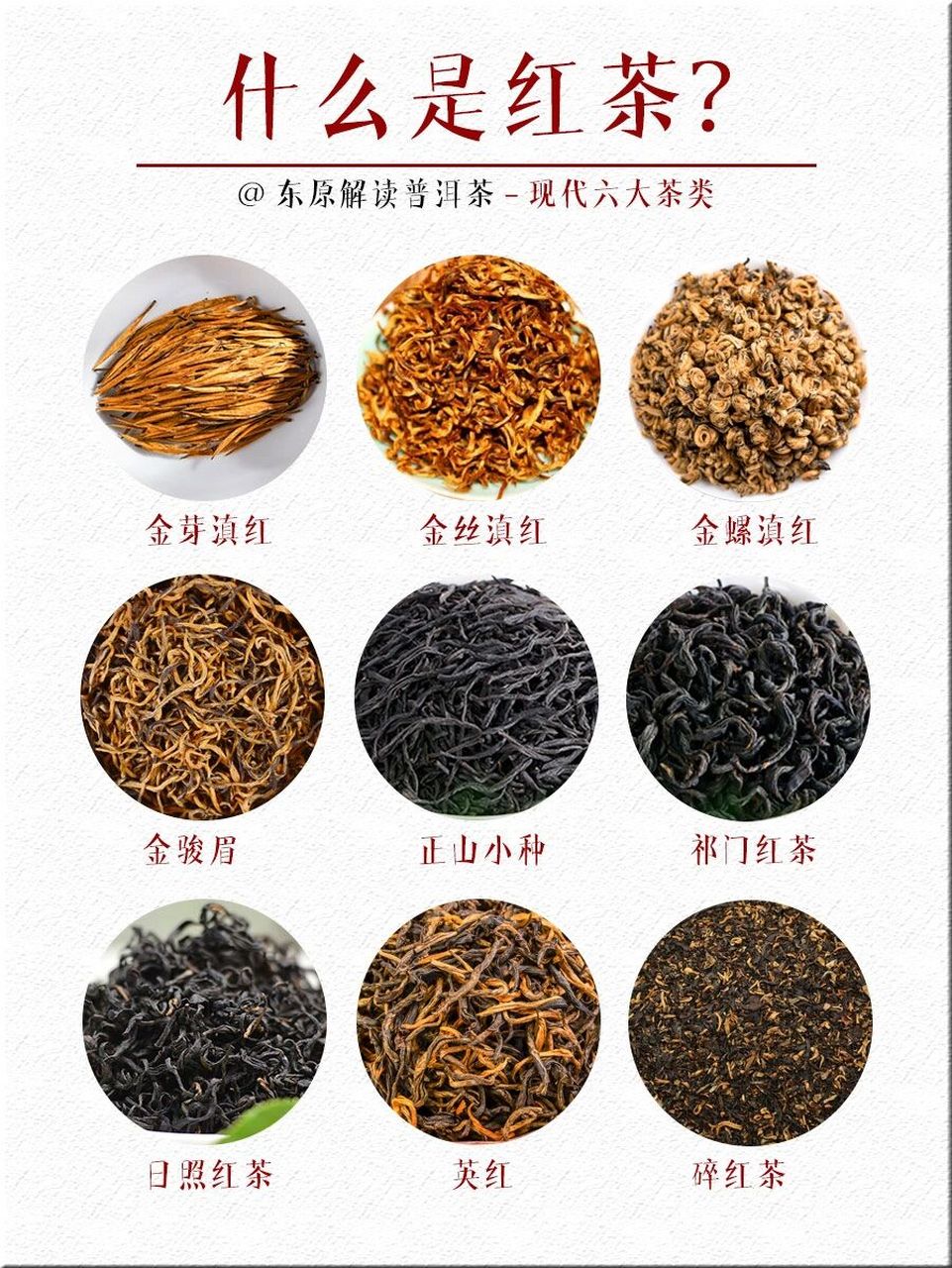 科普·现代六大茶类|红茶 现代六大茶类的划分是在1979年,由陈椽教授