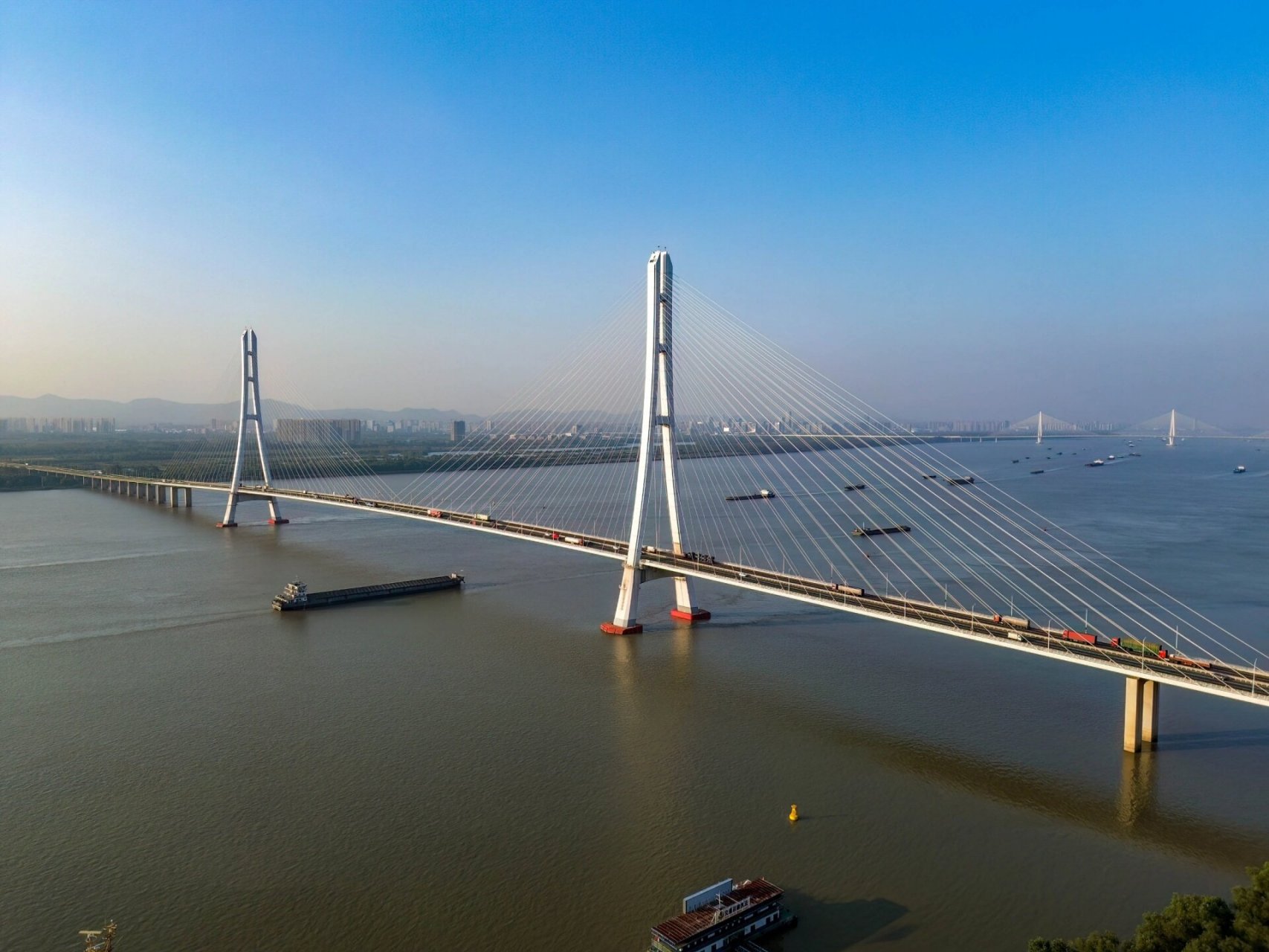 南京绝美的粉色花海-三桥下的粉黛乱子草 南京大胜关长江大桥下三桥