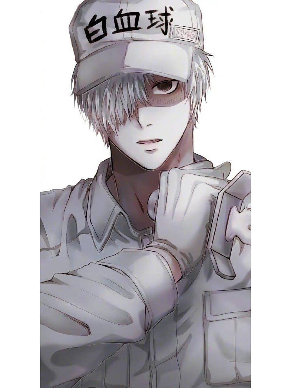 《工作细胞》白血球壁纸