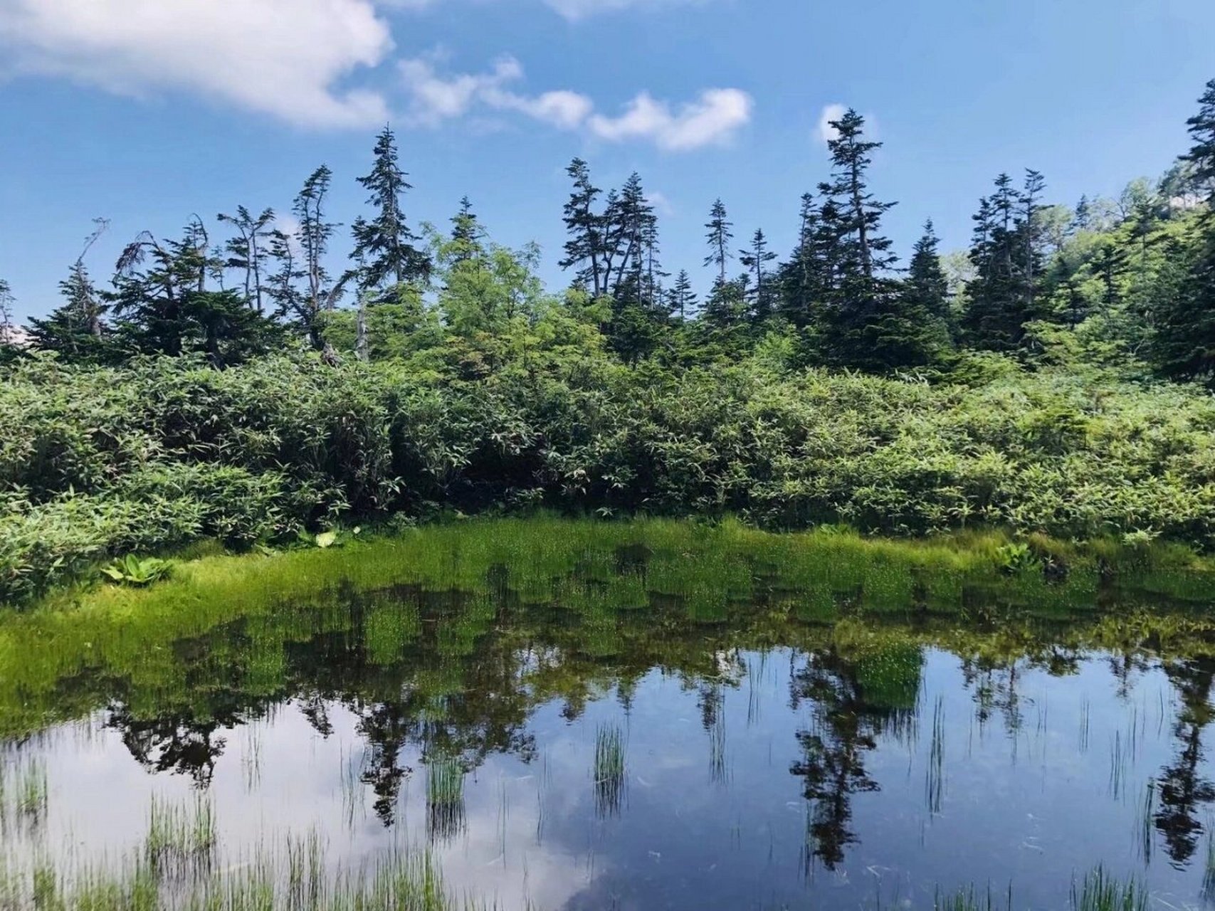 日本旅游/白马村9015一定要去的绝境 白马村是一个位于长野县西北