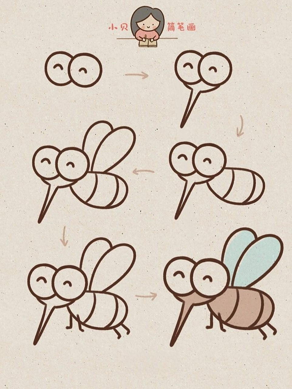 小贝简笔画-蚊子03 蚊子冷知识 03蚊子这种令人心烦的小东西,从