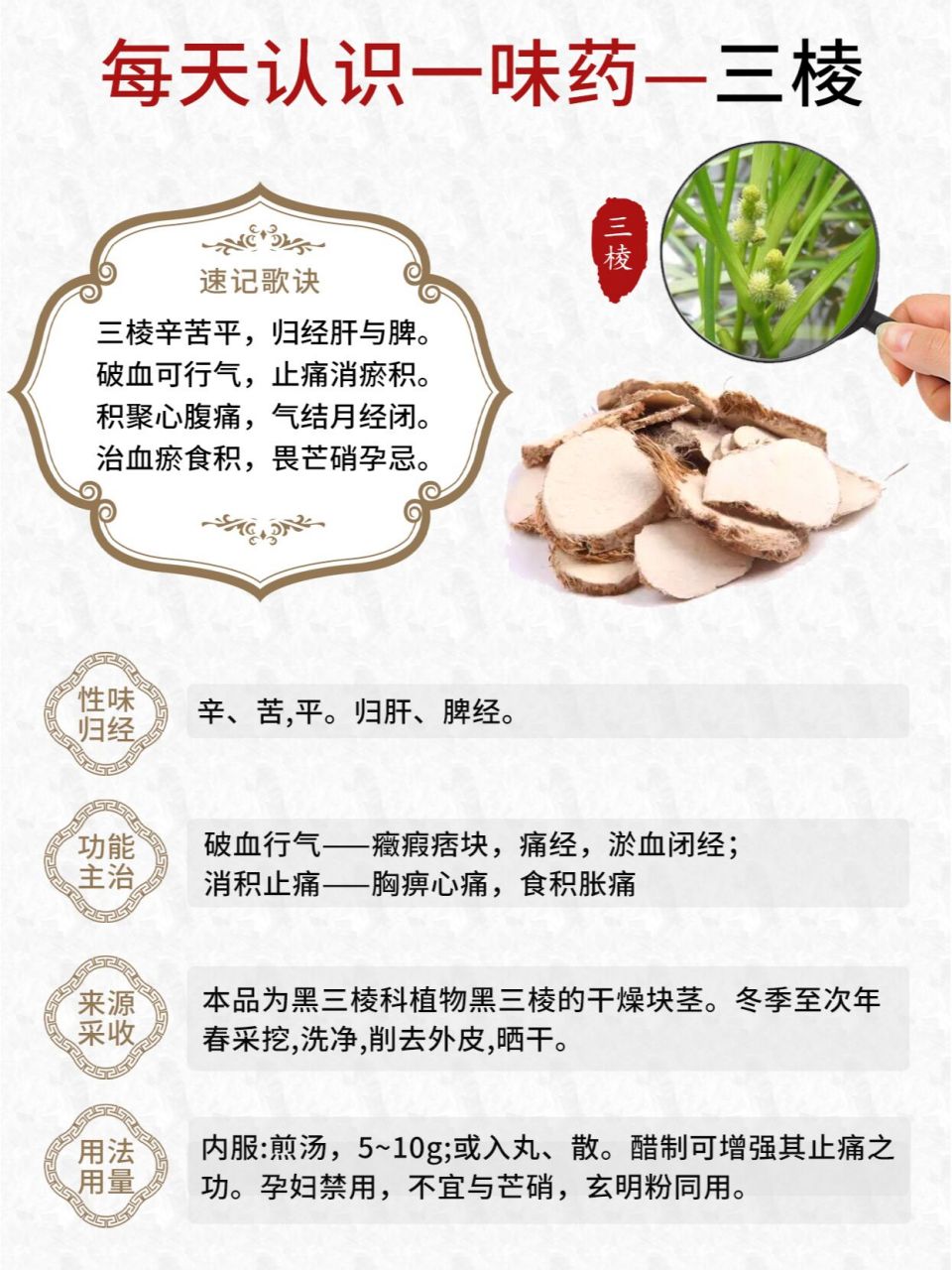 三棱莪术的中成药图片