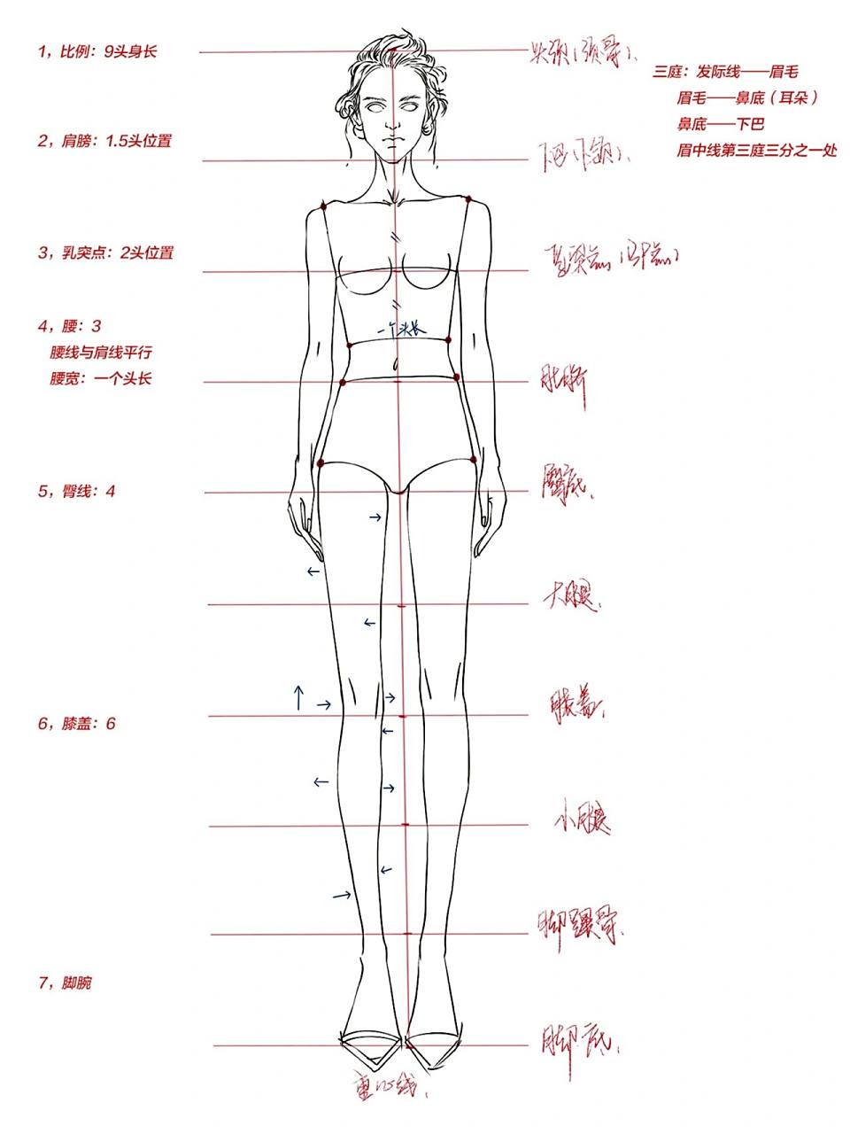 99圣玛丁时装画老师详解手绘九头身人体比例画法99 87151,画