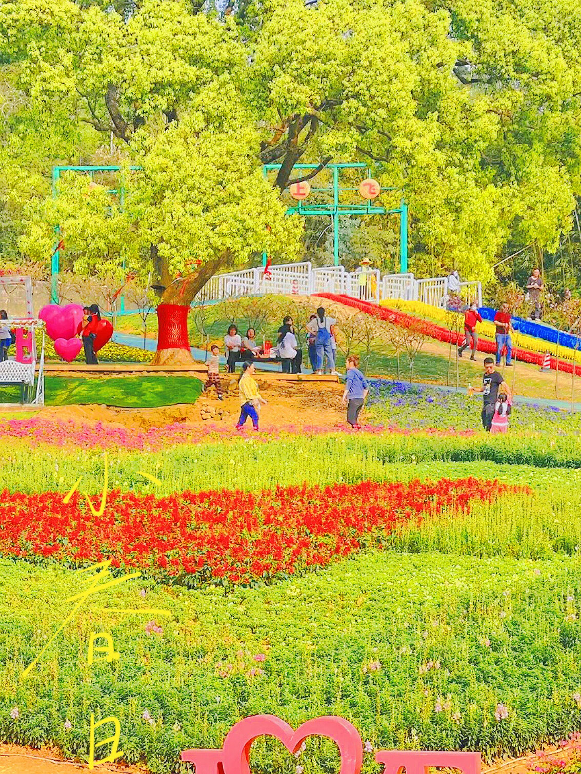 中山坦洲|快活谷游乐园