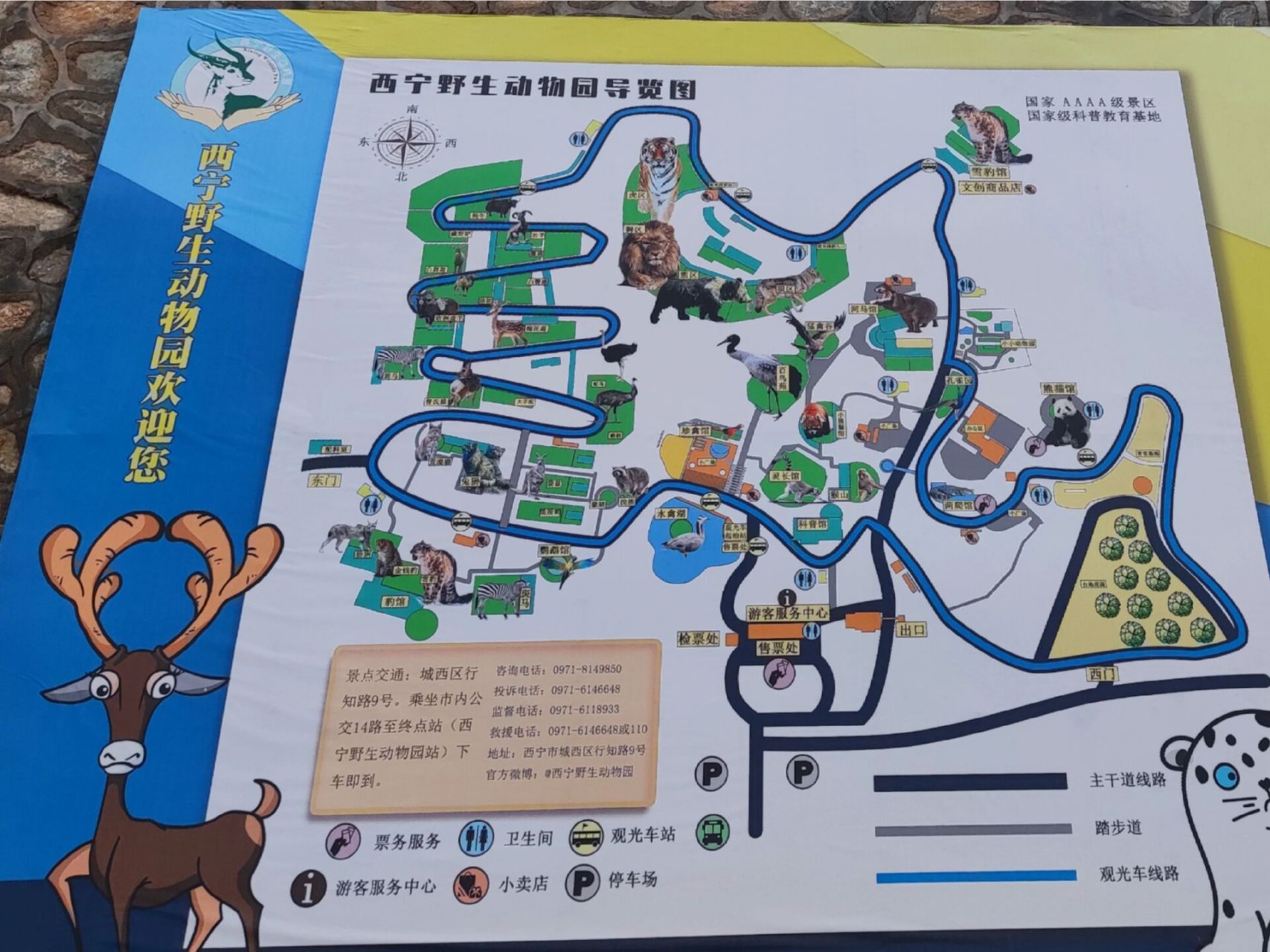 青海西宁青藏高原野生动物园 948:00-18:00(周内)或18:30(周末)