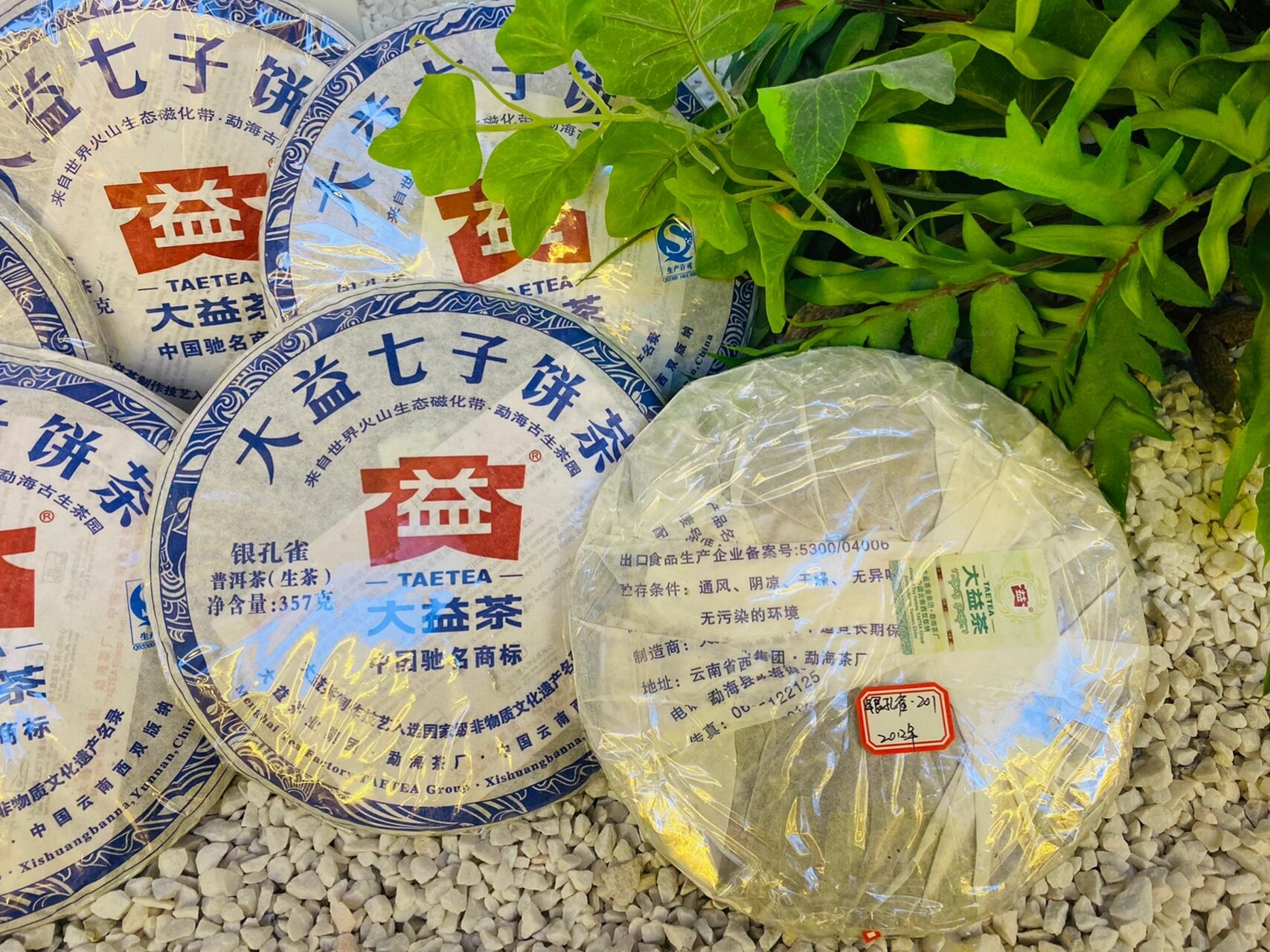 大益 银孔雀 生茶 2012年 2012年大益 银孔雀 生茶,茶汤为明亮的黄色