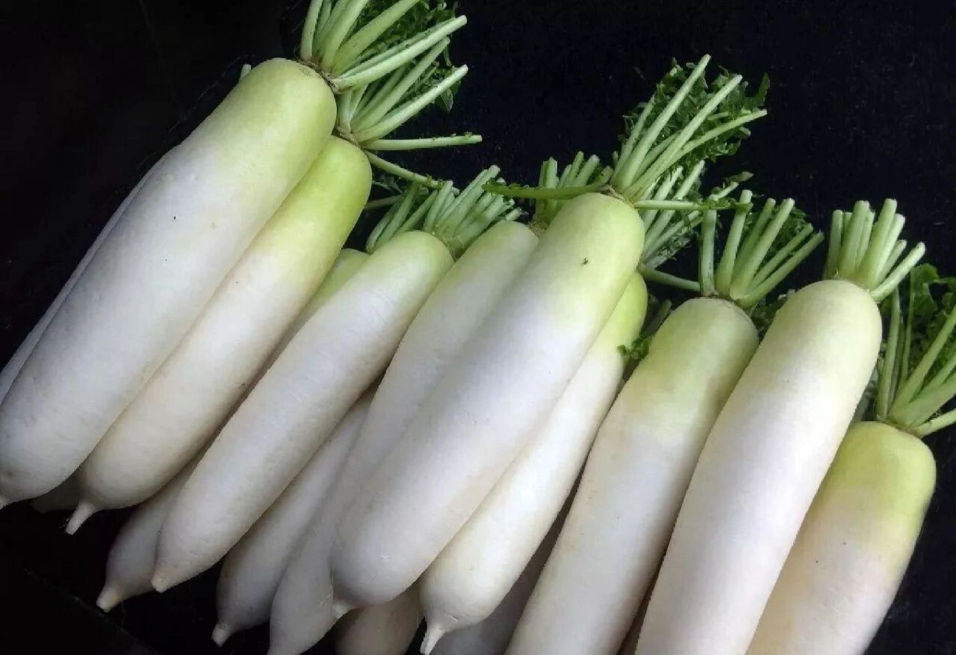 白萝卜的功效和作用 作用: 1,可以提高人体免疫力 冬季空气干燥,天气