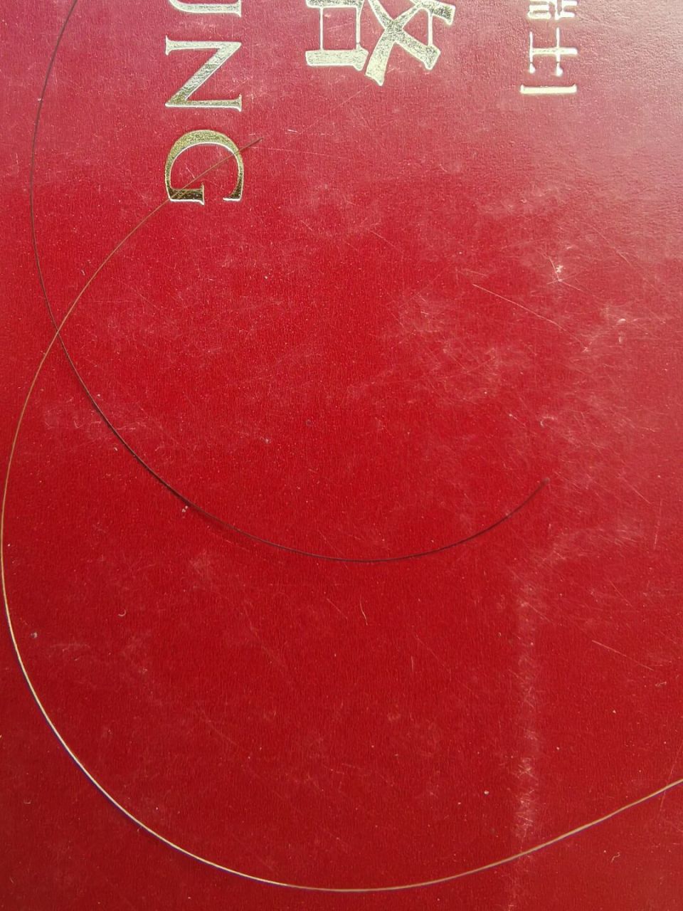 掉了一根有意思的头发,一半白色一半黑色,白黑之间有些黄色过度,黑色