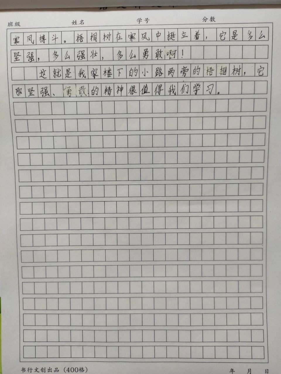 小孩練習的三年級作文《法國梧桐樹》 三百五十字作文《法國梧桐樹》