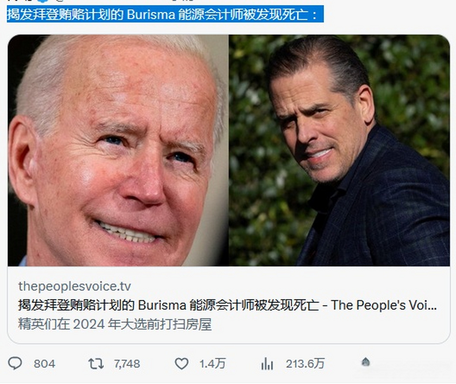 乌克兰burisma的首席会计师曾提出向美国当局提供有关乔和亨特·拜登