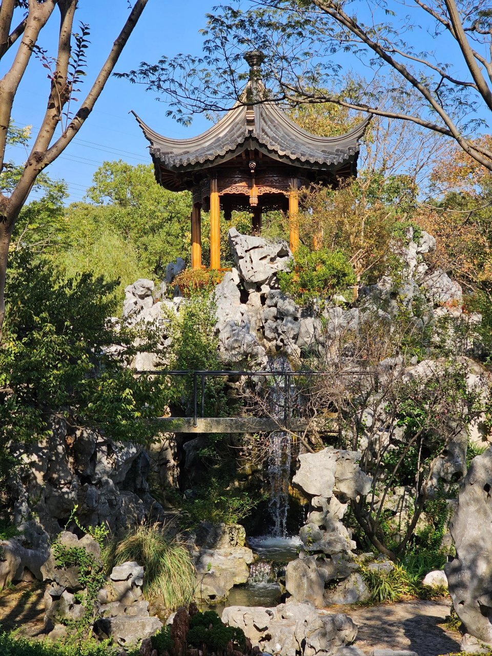 逛私家园林去唠～嘉定丰德园96 真嘟,去逛了私人园林,和秋日的上海