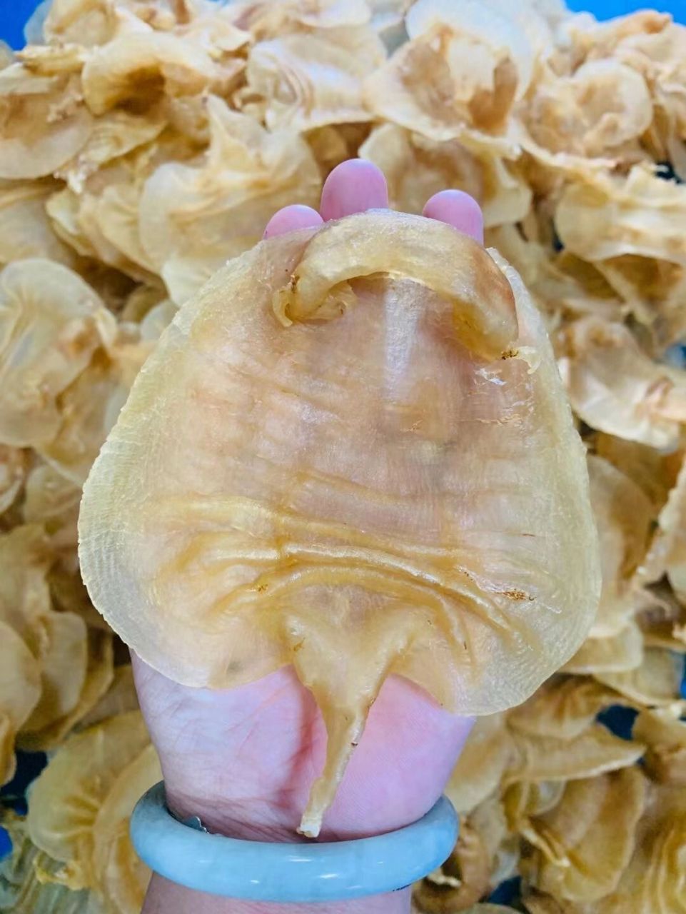 本港赤嘴湛江型 湛江赤嘴一般是以前湛江一带加工的赤嘴造型,所以现在